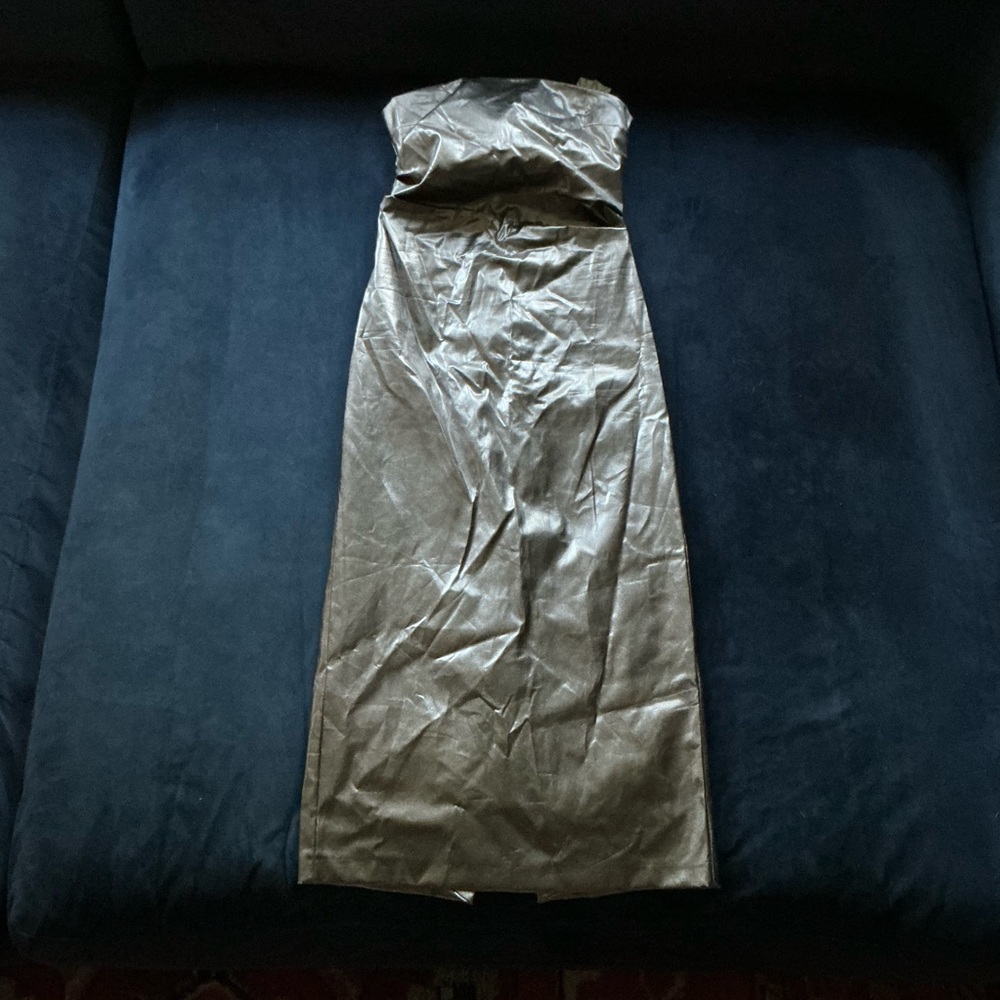 NWT ZARA METALLIC STRAPLESS SHEATH MIDI DRESS